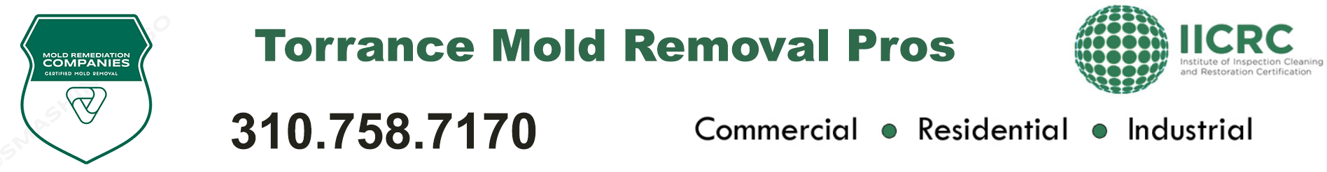 Torrance Mold Removal Pros